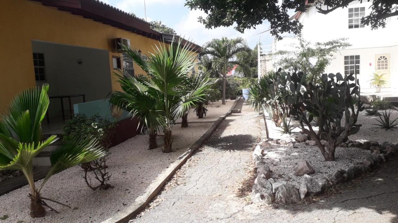 Happy Turtle Apartments Willemstad Luaran gambar