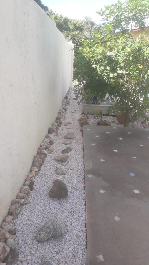 Happy Turtle Apartments Willemstad Luaran gambar