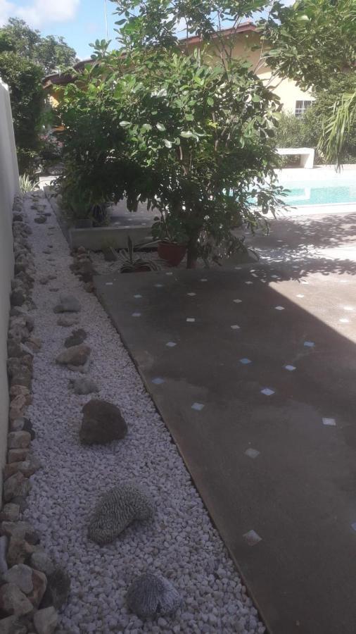 Happy Turtle Apartments Willemstad Luaran gambar