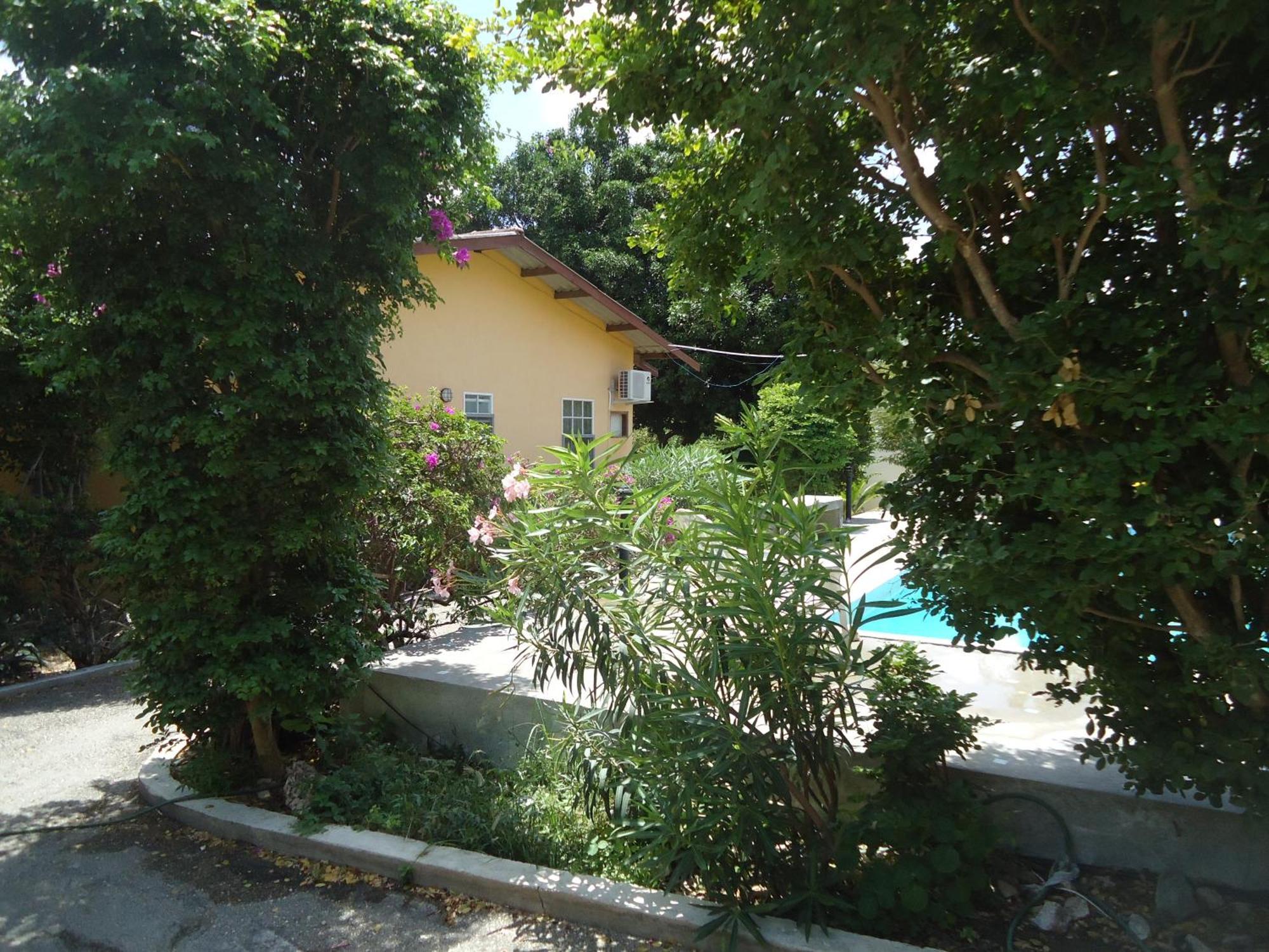 Happy Turtle Apartments Willemstad Luaran gambar