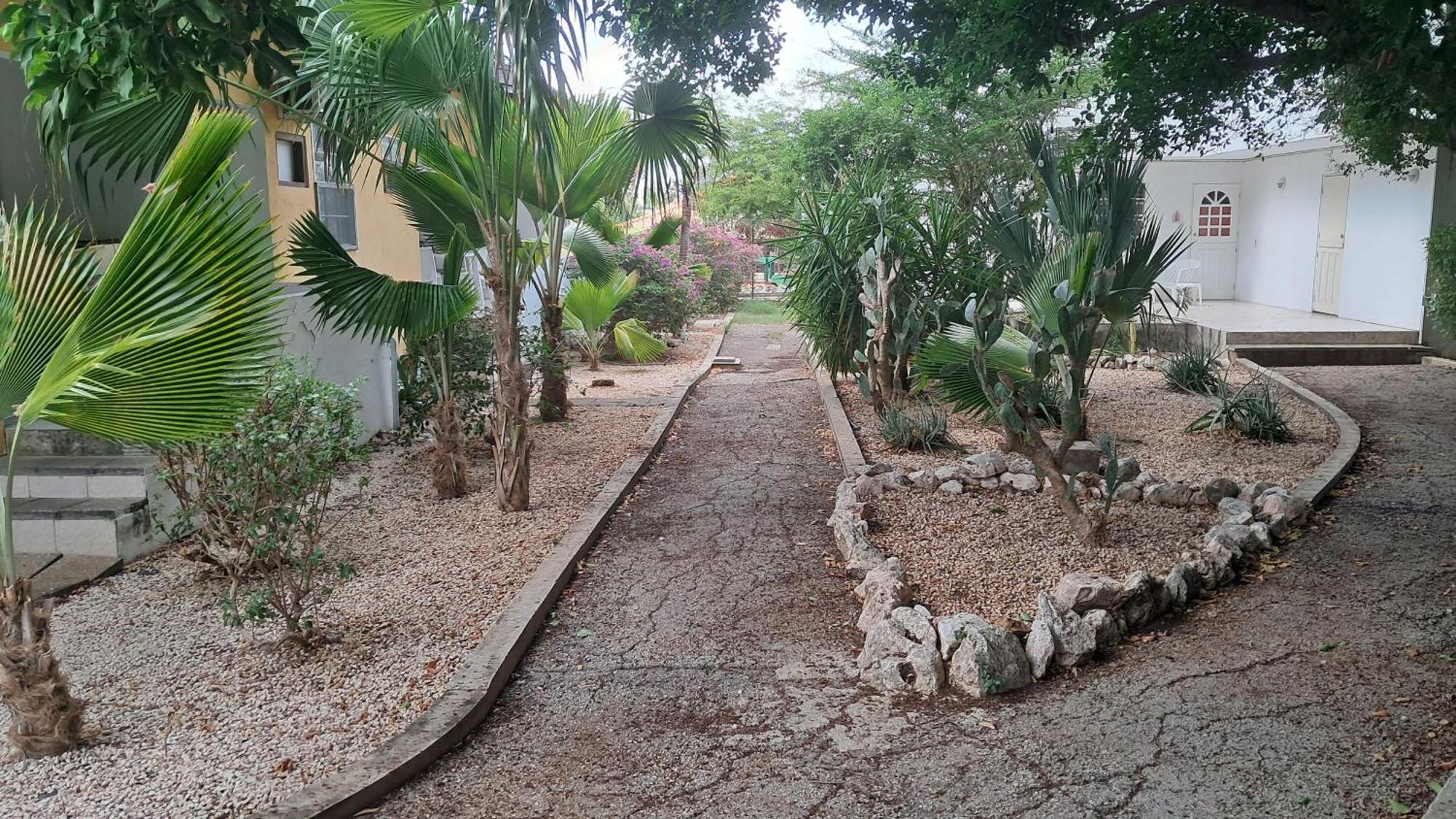 Happy Turtle Apartments Willemstad Luaran gambar