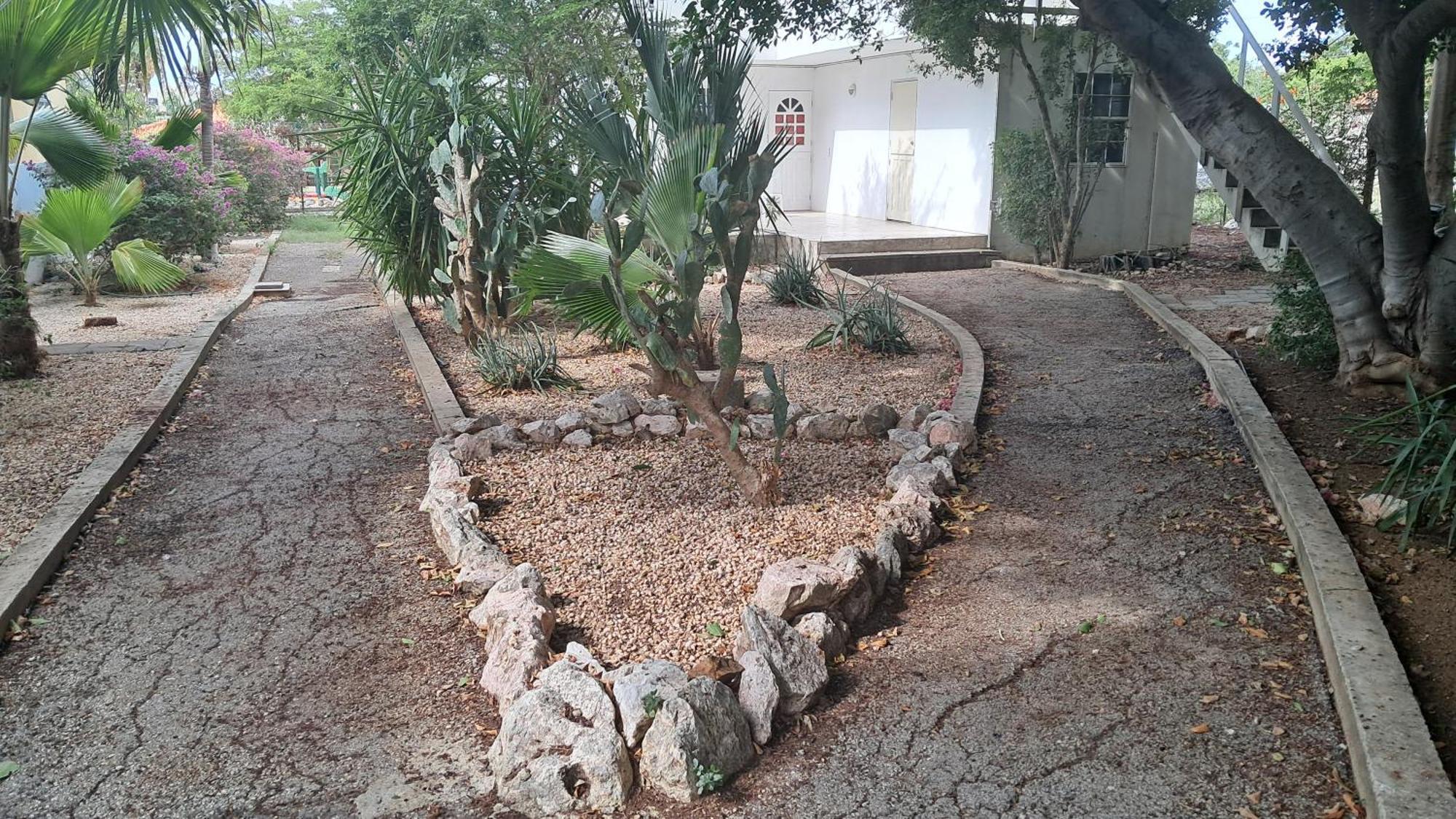Happy Turtle Apartments Willemstad Luaran gambar